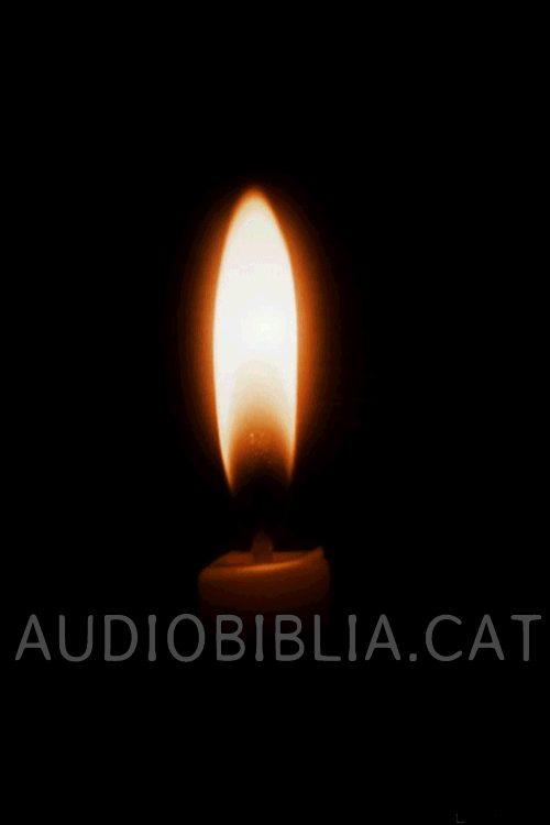 Logo d'Audiobiblia.cat