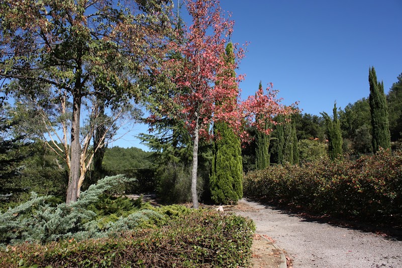 Fotografia de Église Saint-Sylvestre