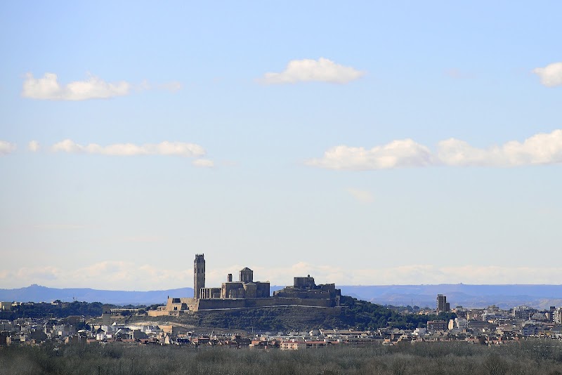 Fotografia de la Seu Vella
