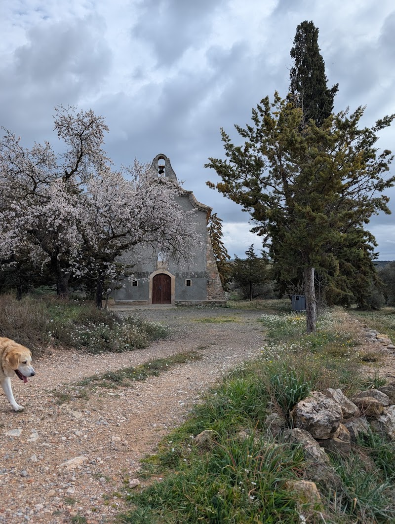 Fotografia de Mare de Déu d'Aguilar