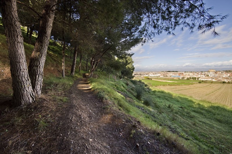 Fotografia de Mare de Déu de l'Olivar