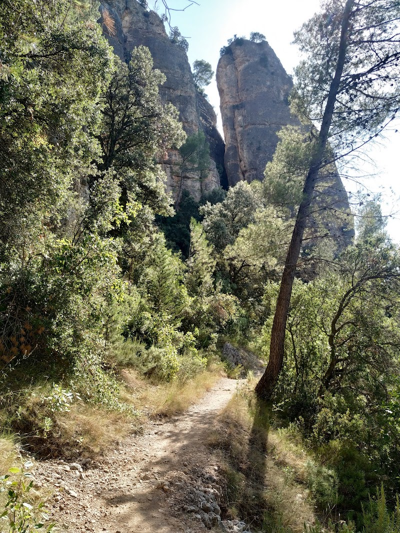 Fotografia de Sant Antoni