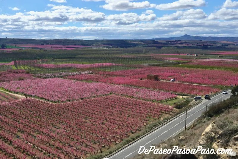 Fotografia de Sant Joan de Carratalà