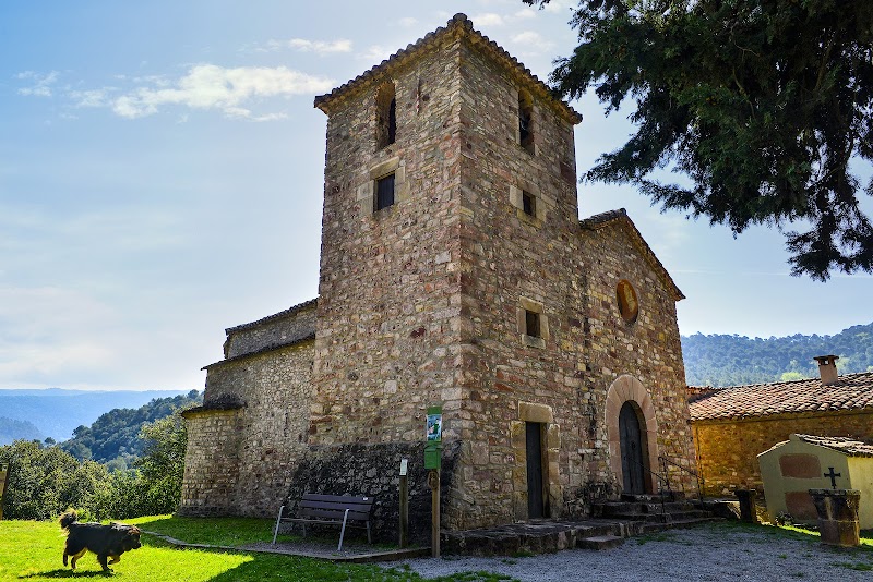 Fotografia de Sant Pere de Valldaneu