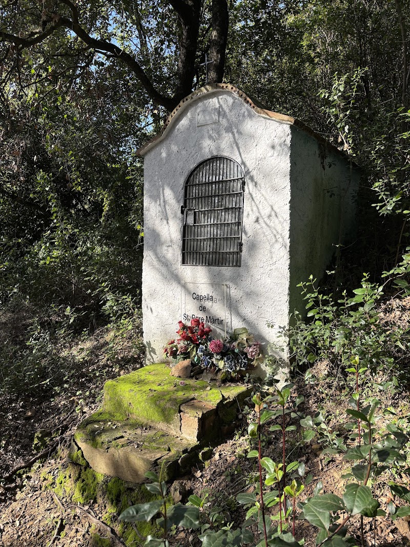 Fotografia de Sant Pere Màrtir