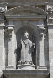 Imatge de Capitó de Lugo