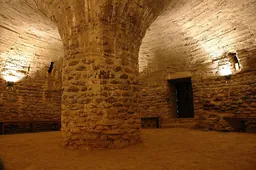 Imatge de Flamidià del Conflent