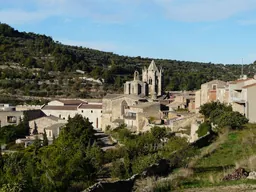 Imatge de Ramon de Vallbona